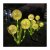 Lampa-ogrodowa-solarna-wbijana-75cm-czosnek-ozdobny-SUNARI-FLS-95-biala-ciepla-w-ogrodzie.jpg
