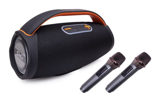 glosnik mikrofony.jpg